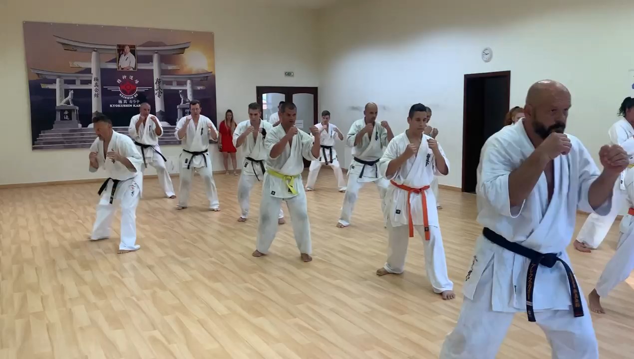 Sensei Kun Attila tréning a Seishin Dójóban