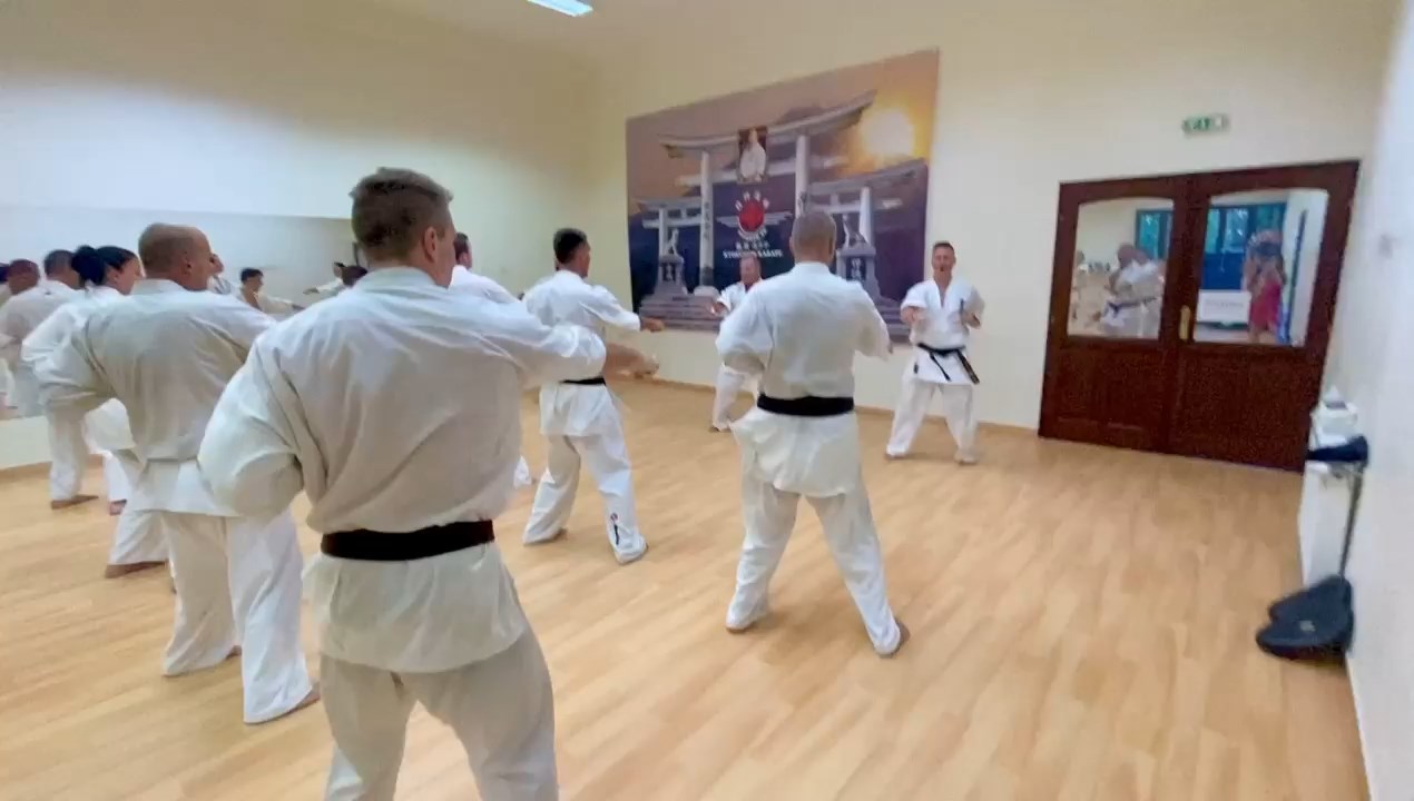 Sensei Kun Attila tréning a Seishin Dójóban
