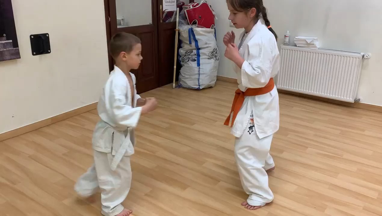 In memory of Sosai Oyama - V. Kumite training