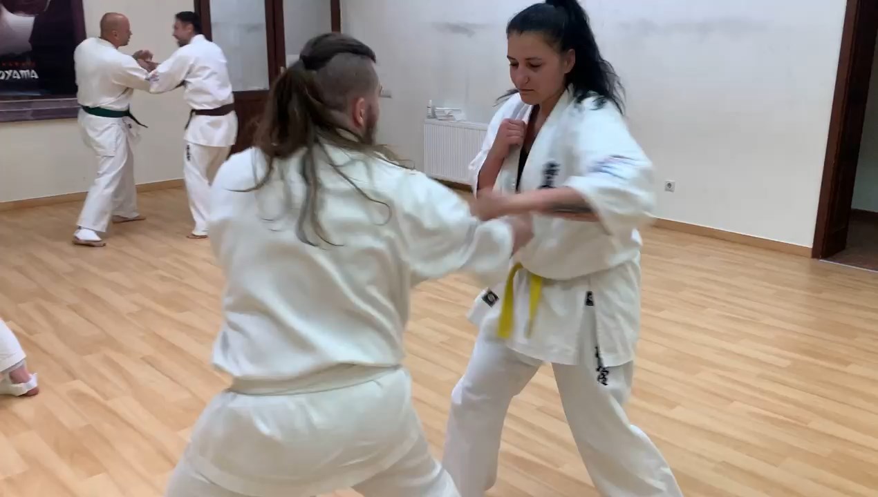 In memory of Sosai Oyama - V. Kumite training