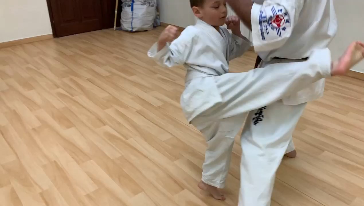 In memory of Sosai Oyama - V. Kumite training