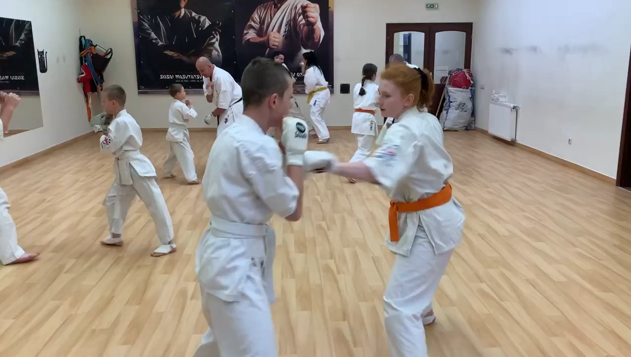 In memory of Sosai Oyama - V. Kumite training