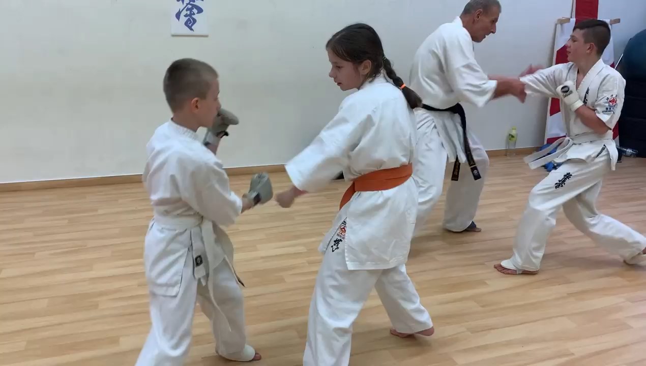 In memory of Sosai Oyama - V. Kumite training