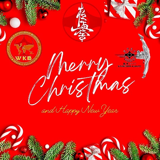 Seishin karácsonyfa közös díszítése 🎄🎅🏻🥋⛩