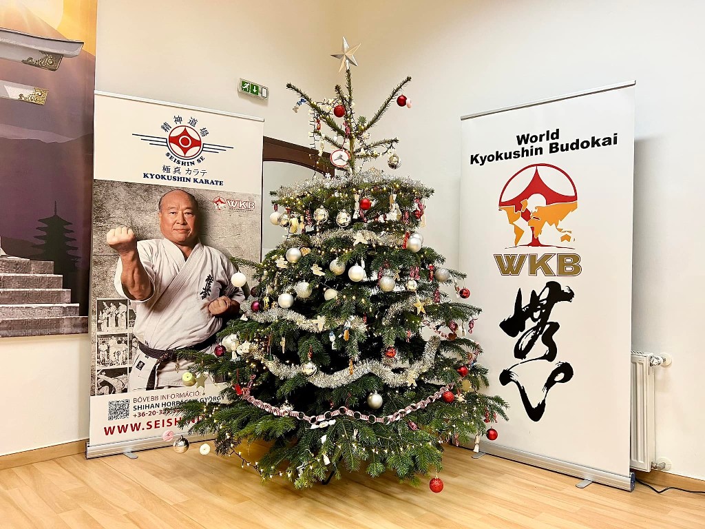 Seishin karácsonyfa közös díszítése 🎄🎅🏻🥋⛩