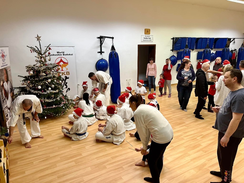 Seishin karácsonyfa közös díszítése 🎄🎅🏻🥋⛩