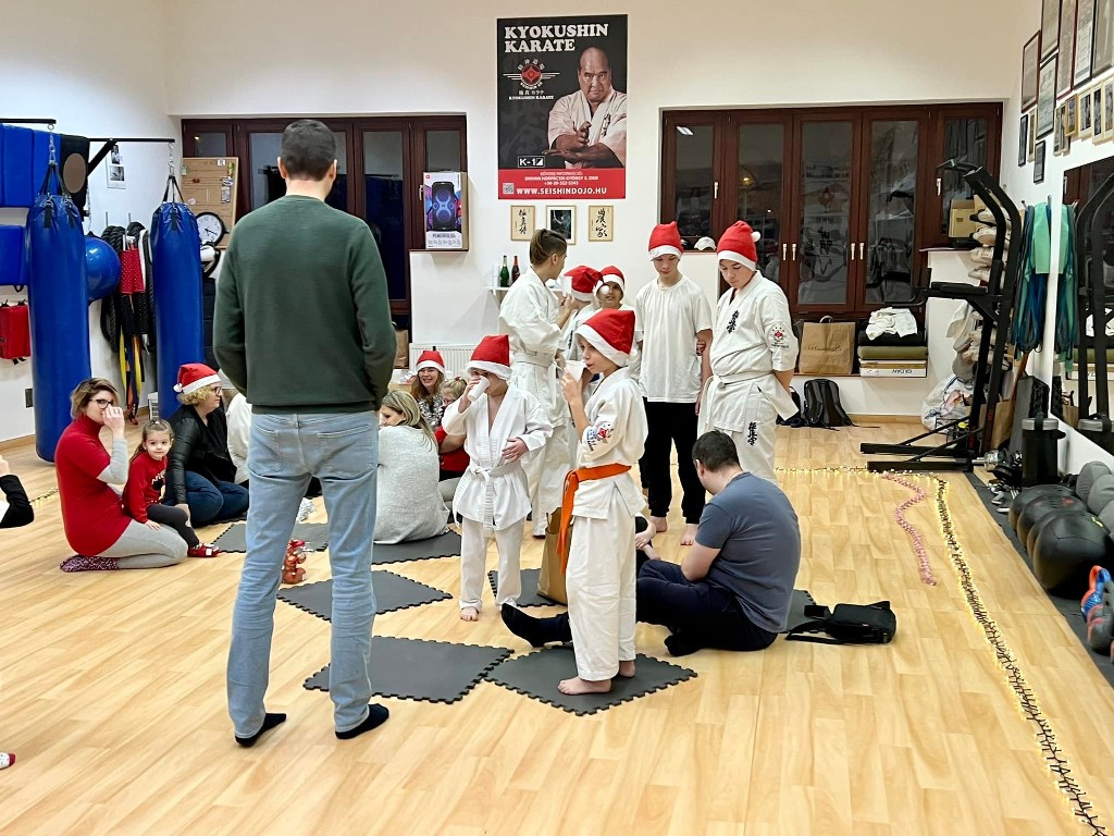 Seishin karácsonyfa közös díszítése 🎄🎅🏻🥋⛩