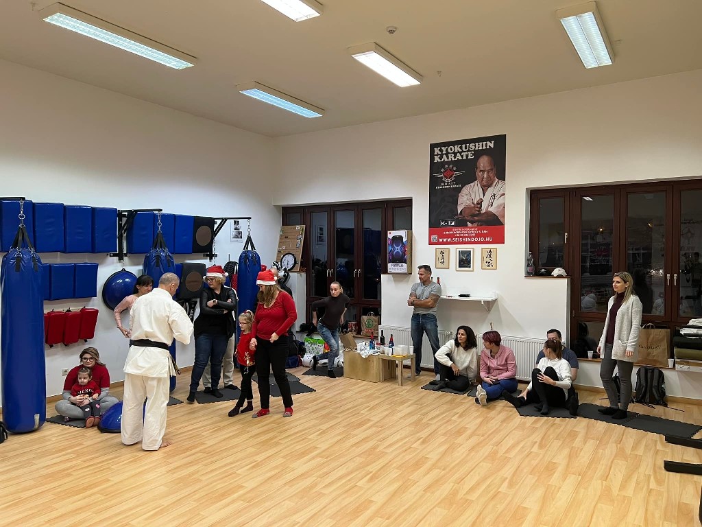 Seishin karácsonyfa közös díszítése 🎄🎅🏻🥋⛩