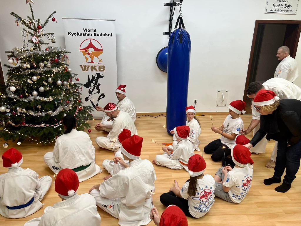 Seishin karácsonyfa közös díszítése 🎄🎅🏻🥋⛩
