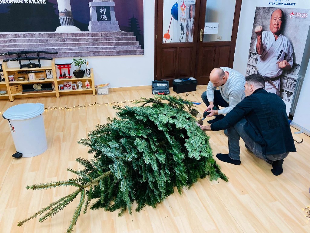 Seishin karácsonyfa közös díszítése 🎄🎅🏻🥋⛩