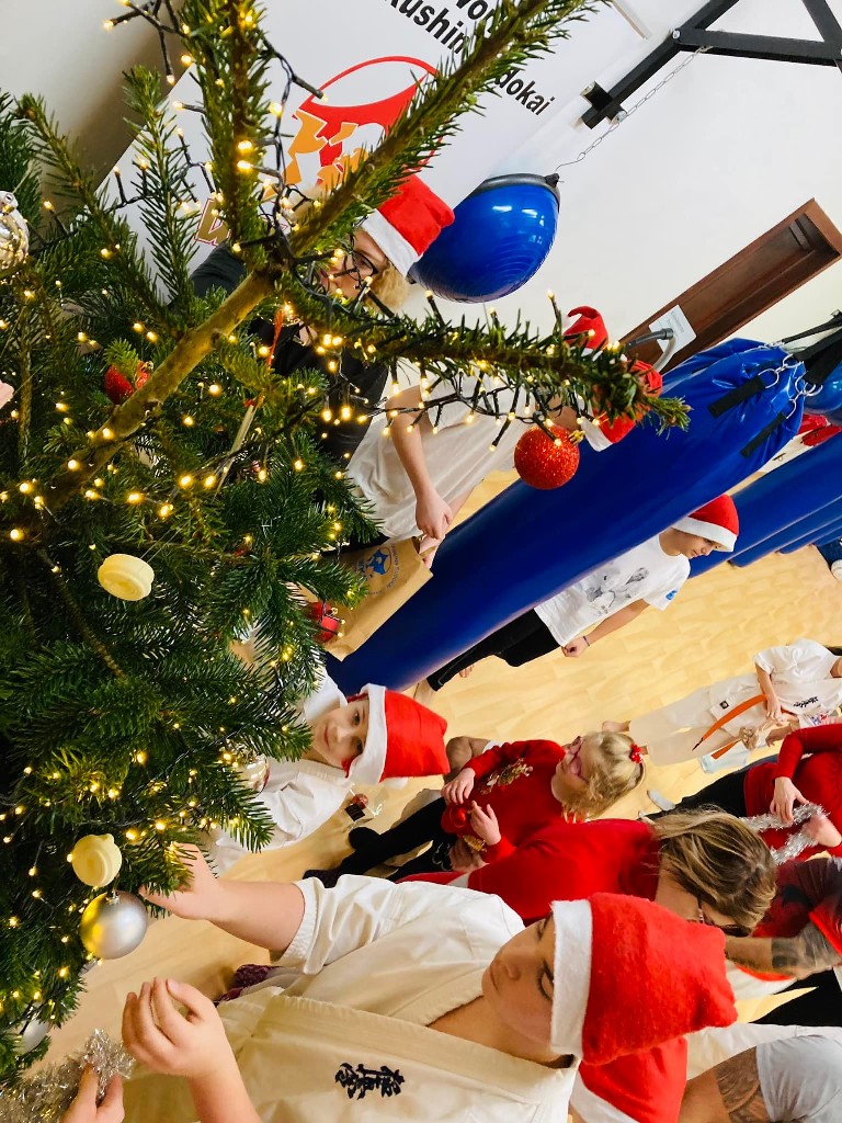 Seishin karácsonyfa közös díszítése 🎄🎅🏻🥋⛩