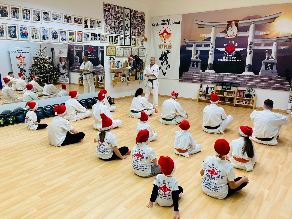 Seishin karácsonyfa közös díszítése 🎄🎅🏻🥋⛩