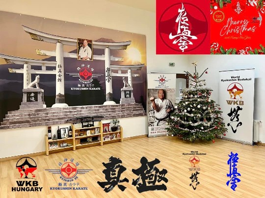 Seishin karácsonyfa közös díszítése 🎄🎅🏻🥋⛩