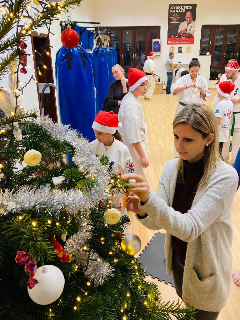 Seishin karácsonyfa közös díszítése 🎄🎅🏻🥋⛩