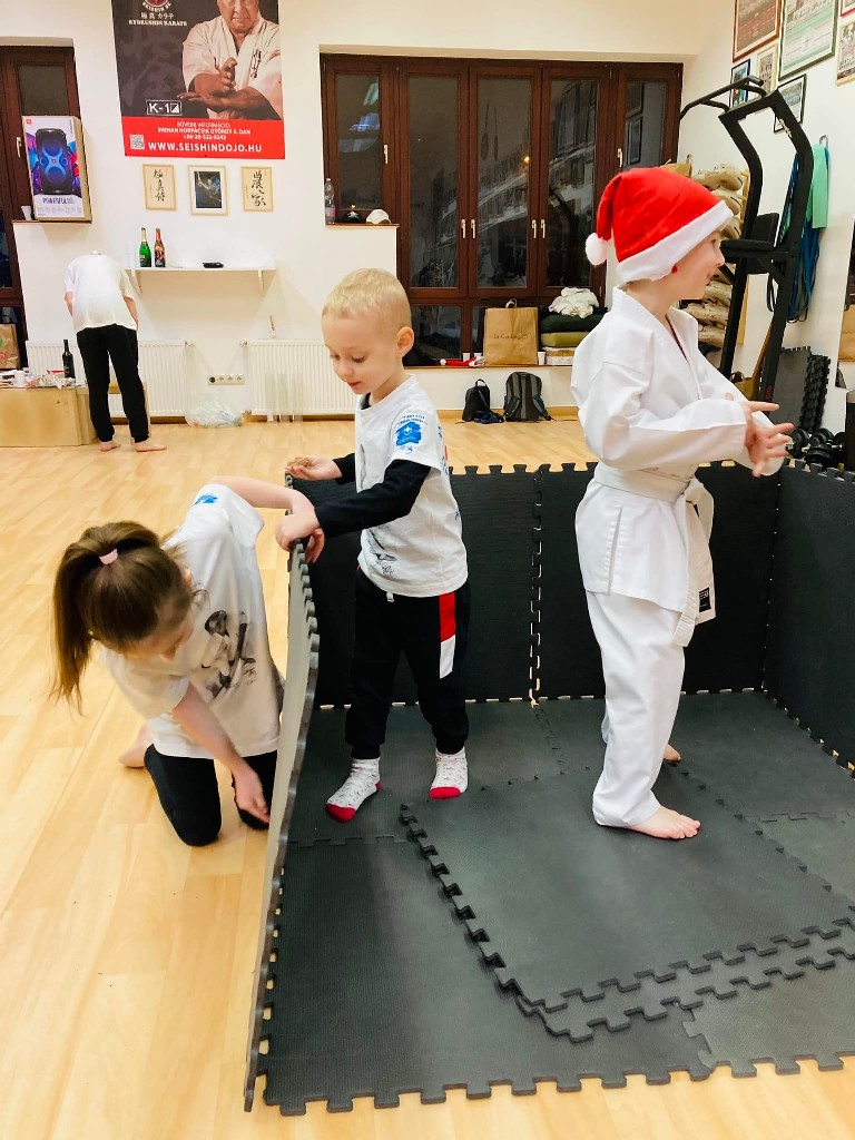Seishin karácsonyfa közös díszítése 🎄🎅🏻🥋⛩