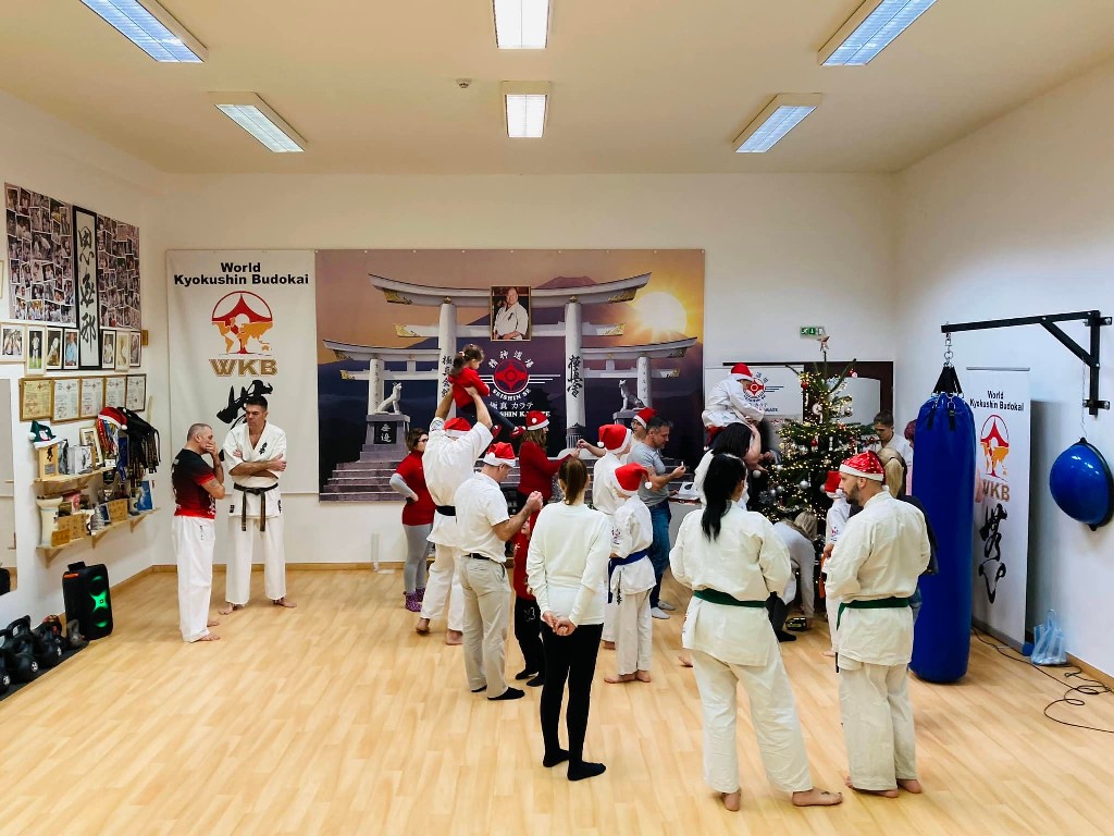 Seishin karácsonyfa közös díszítése 🎄🎅🏻🥋⛩