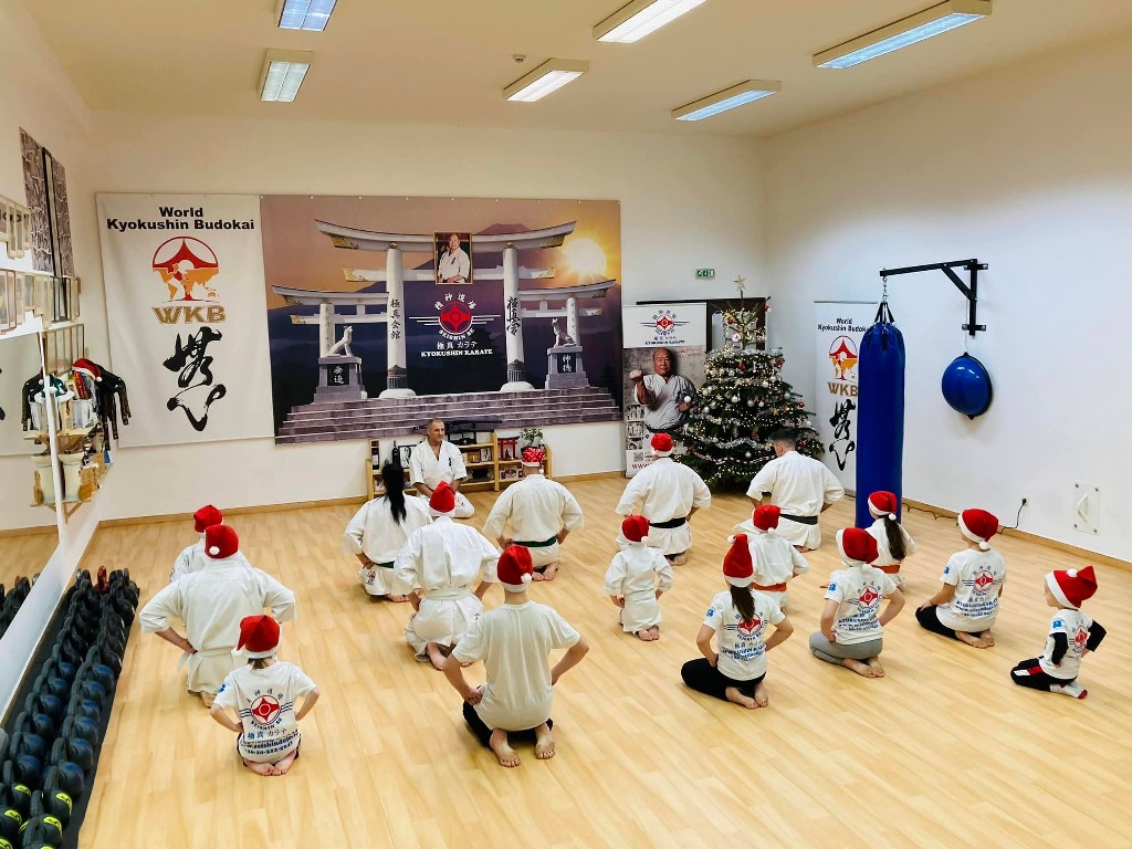 Seishin karácsonyfa közös díszítése 🎄🎅🏻🥋⛩