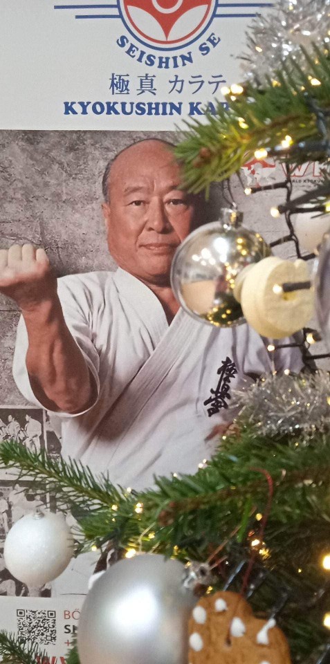 Seishin karácsonyfa közös díszítése 🎄🎅🏻🥋⛩