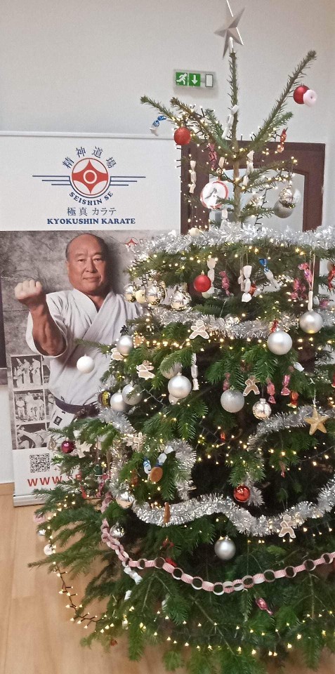 Seishin karácsonyfa közös díszítése 🎄🎅🏻🥋⛩