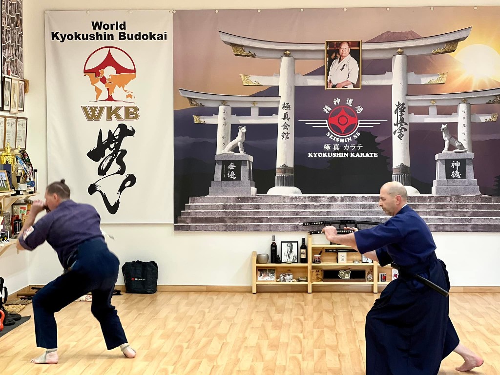 Soshi Tanaka Koshiro látogatása a Seishin Dojoban