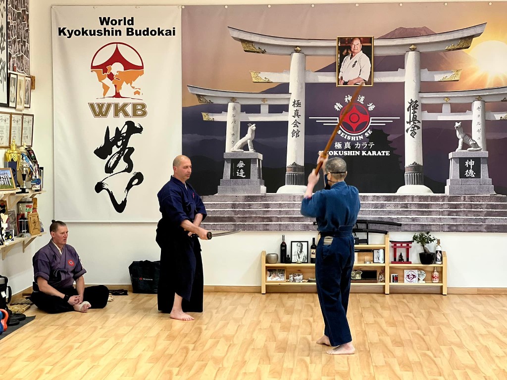 Soshi Tanaka Koshiro látogatása a Seishin Dojoban