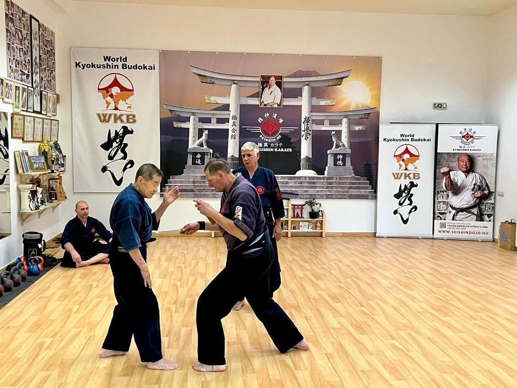 Soshi Tanaka Koshiro látogatása a Seishin Dojoban