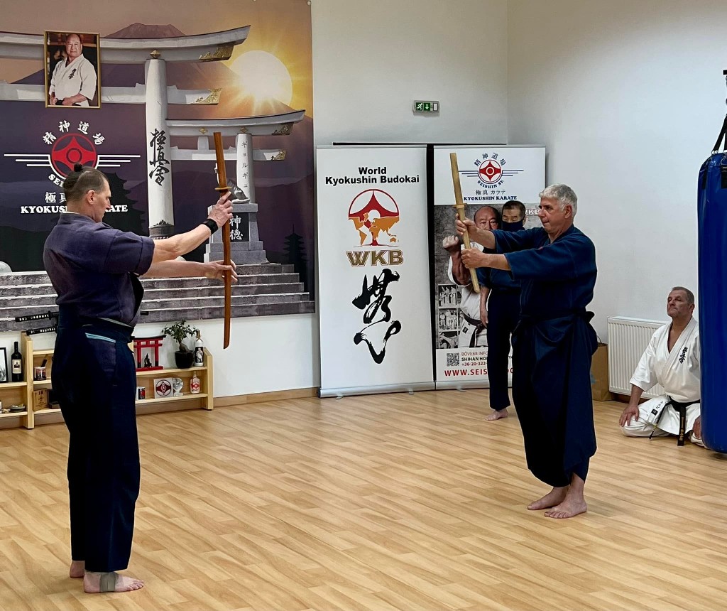 Soshi Tanaka Koshiro látogatása a Seishin Dojoban