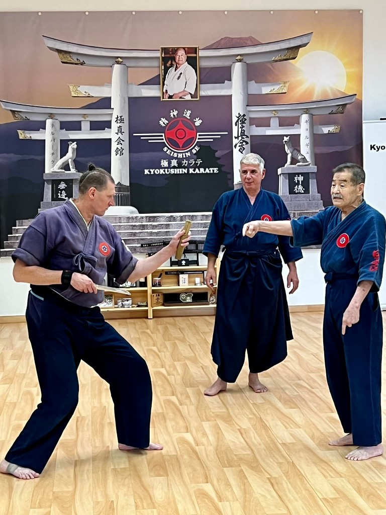 Soshi Tanaka Koshiro látogatása a Seishin Dojoban