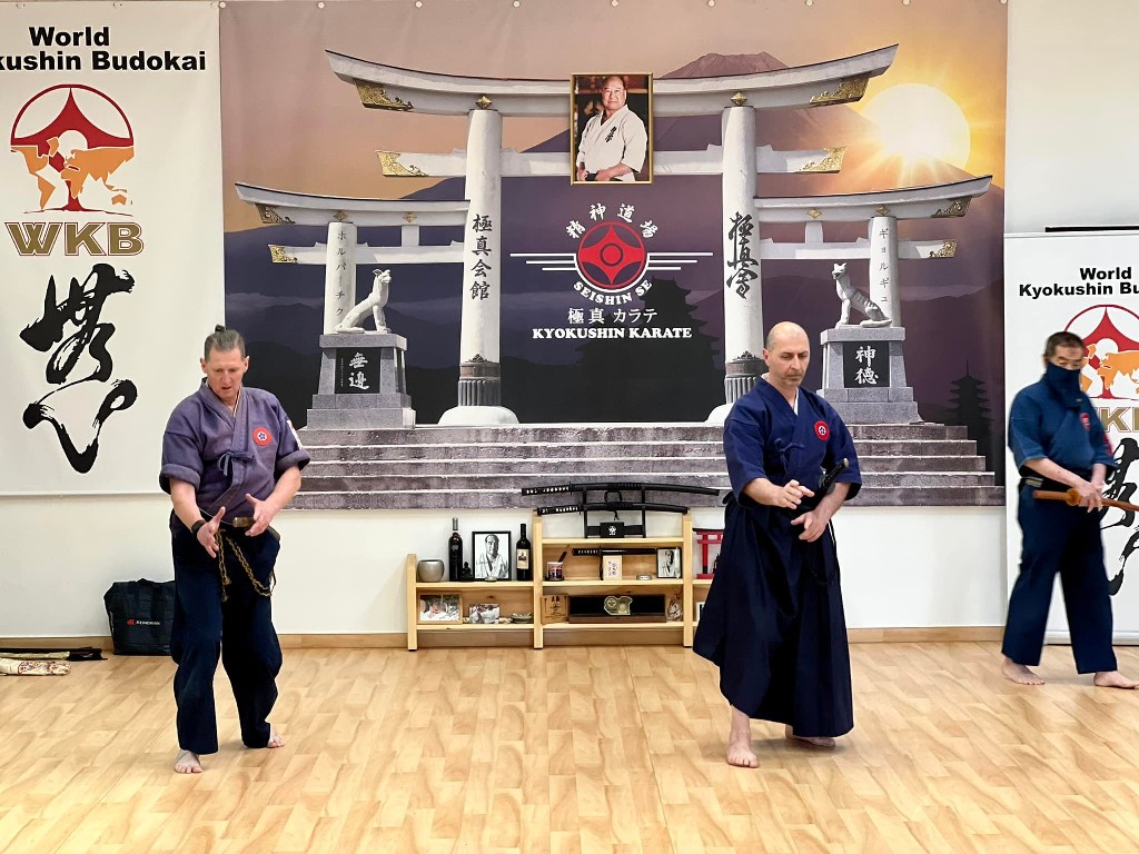 Soshi Tanaka Koshiro látogatása a Seishin Dojoban