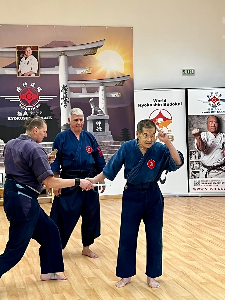 Soshi Tanaka Koshiro látogatása a Seishin Dojoban