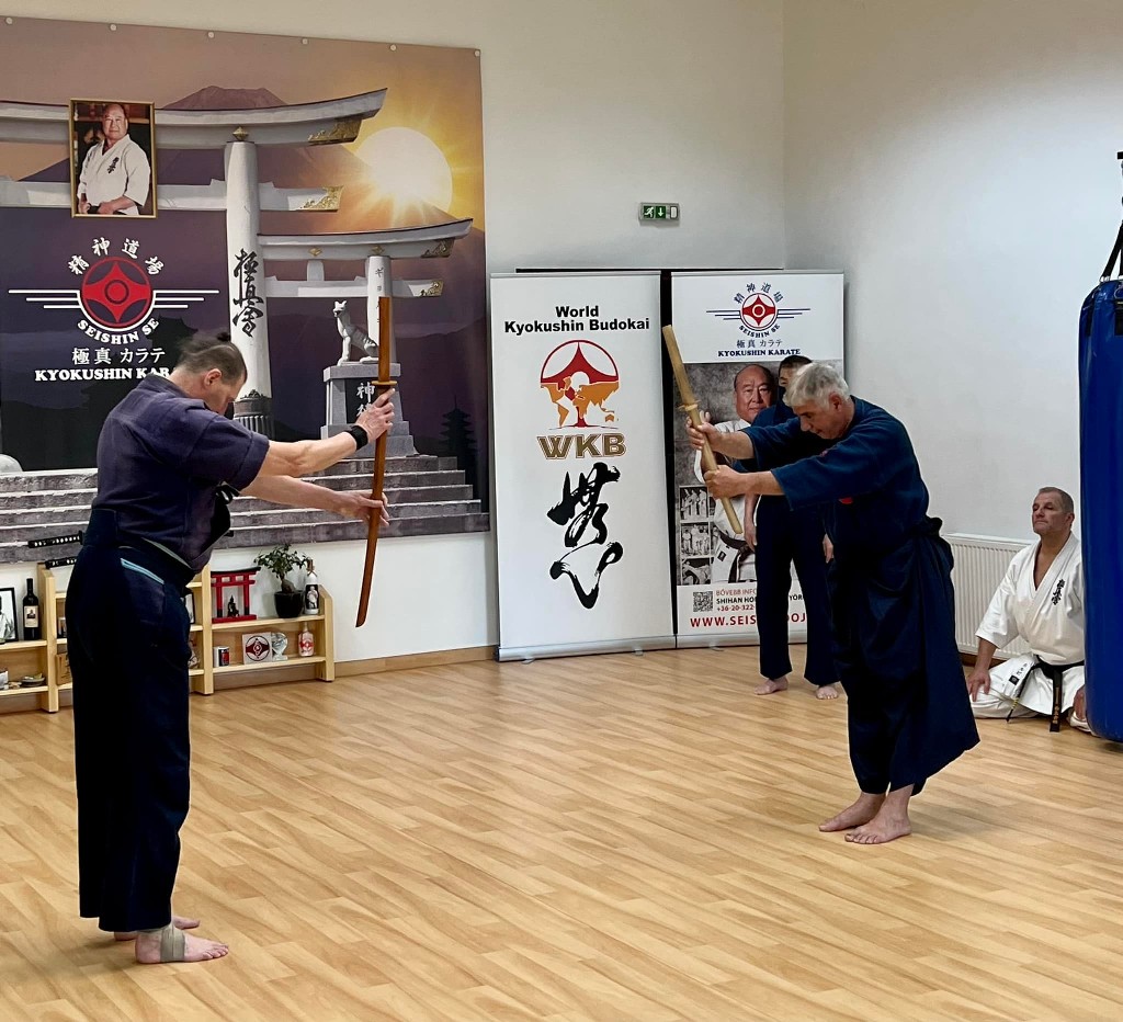 Soshi Tanaka Koshiro látogatása a Seishin Dojoban