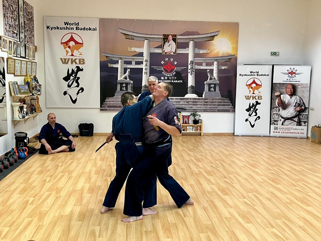 Soshi Tanaka Koshiro látogatása a Seishin Dojoban