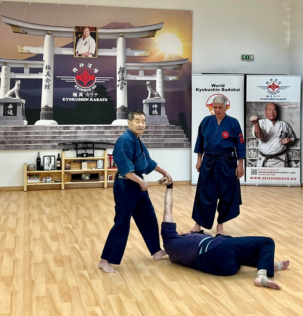 Soshi Tanaka Koshiro látogatása a Seishin Dojoban