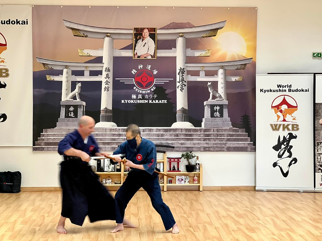 Soshi Tanaka Koshiro látogatása a Seishin Dojoban
