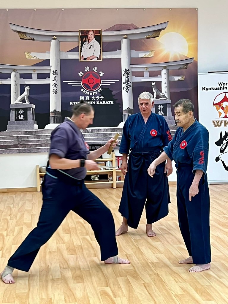 Soshi Tanaka Koshiro látogatása a Seishin Dojoban