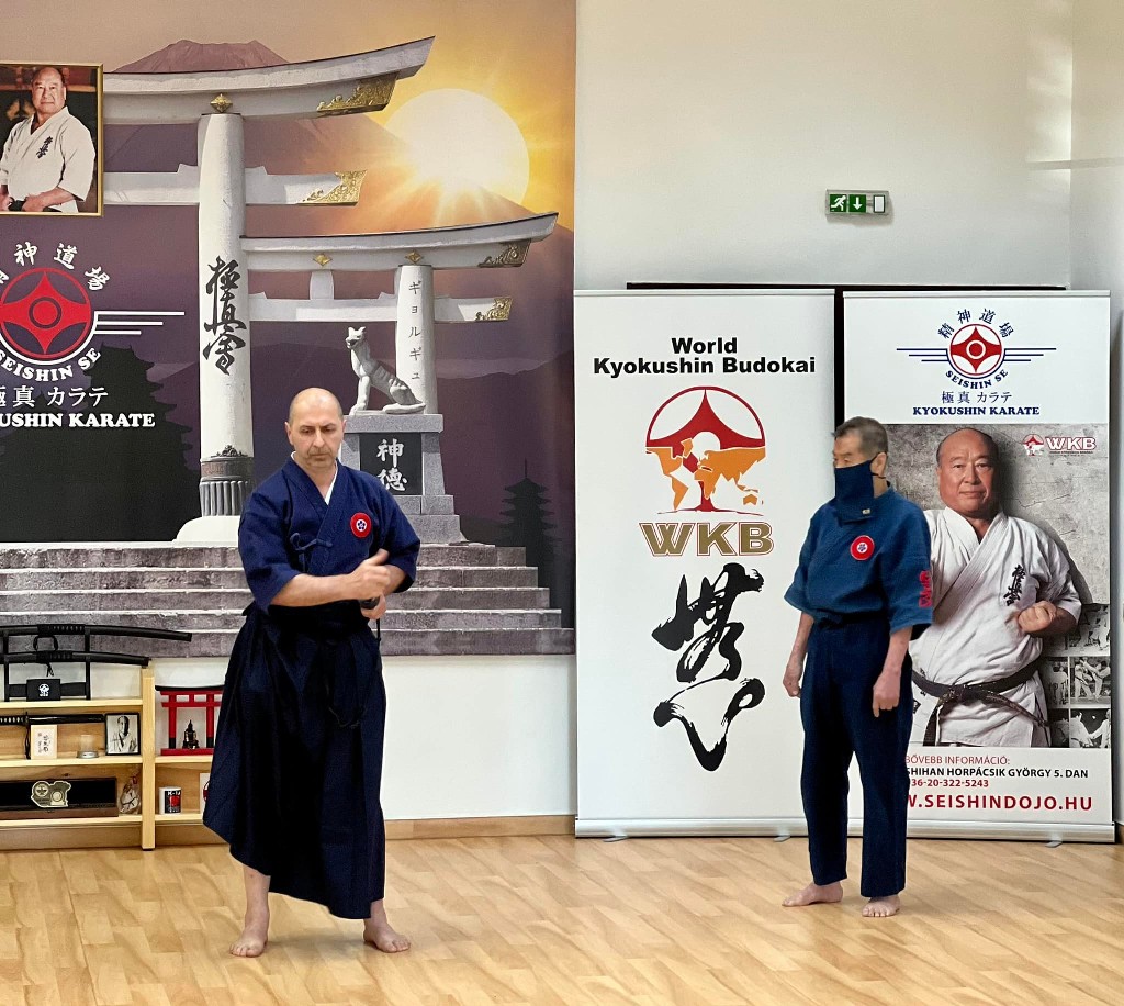 Soshi Tanaka Koshiro látogatása a Seishin Dojoban