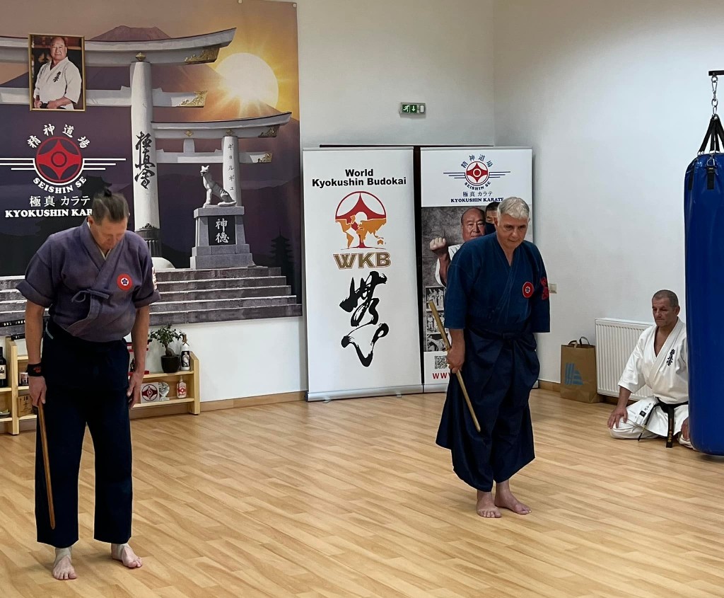Soshi Tanaka Koshiro látogatása a Seishin Dojoban