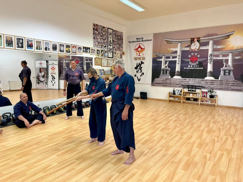 Soshi Tanaka Koshiro látogatása a Seishin Dojoban