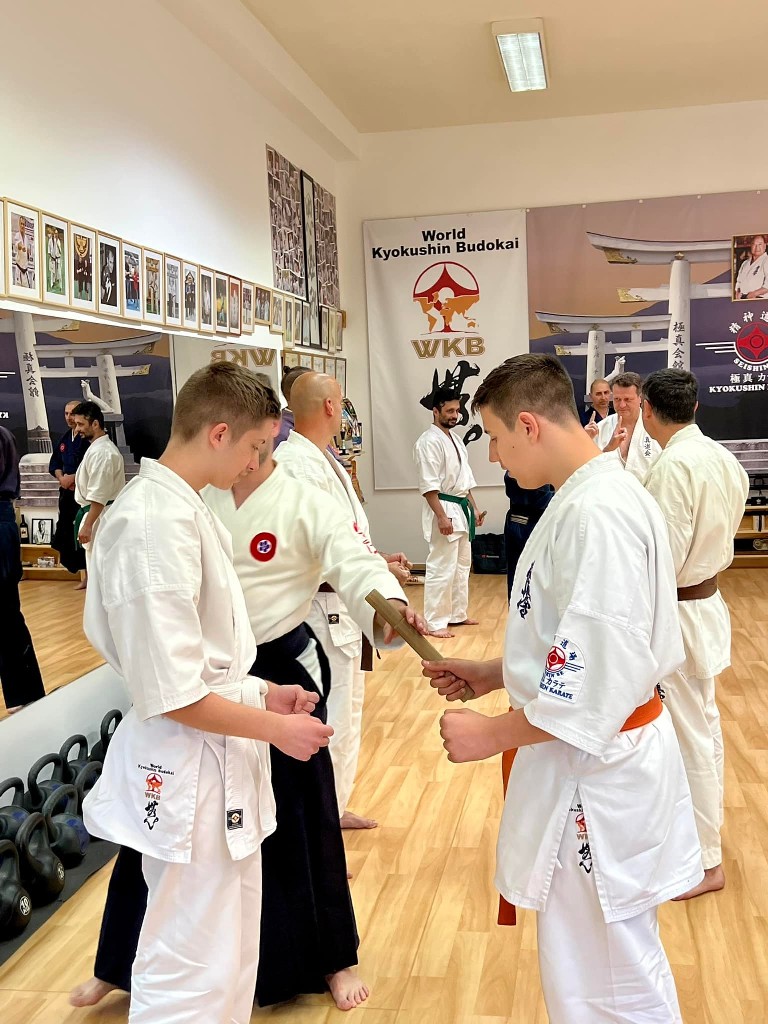 Soshi Tanaka Koshiro látogatása a Seishin Dojoban