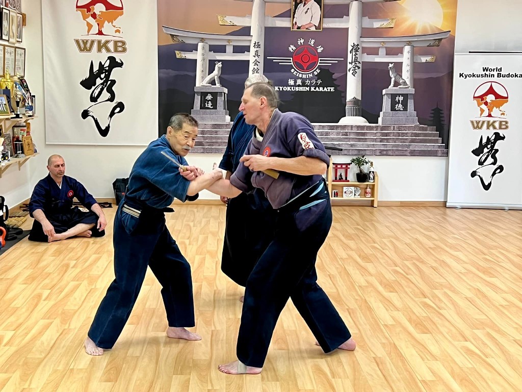Soshi Tanaka Koshiro látogatása a Seishin Dojoban