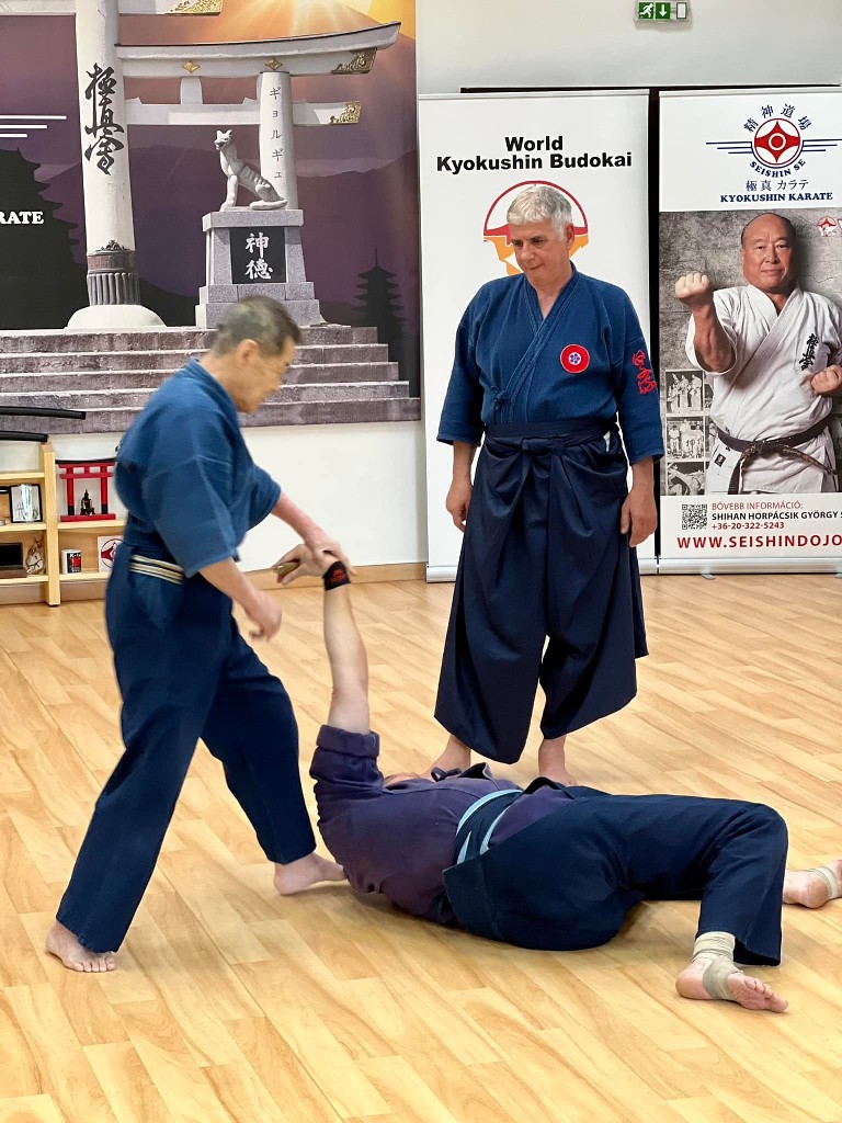 Soshi Tanaka Koshiro látogatása a Seishin Dojoban