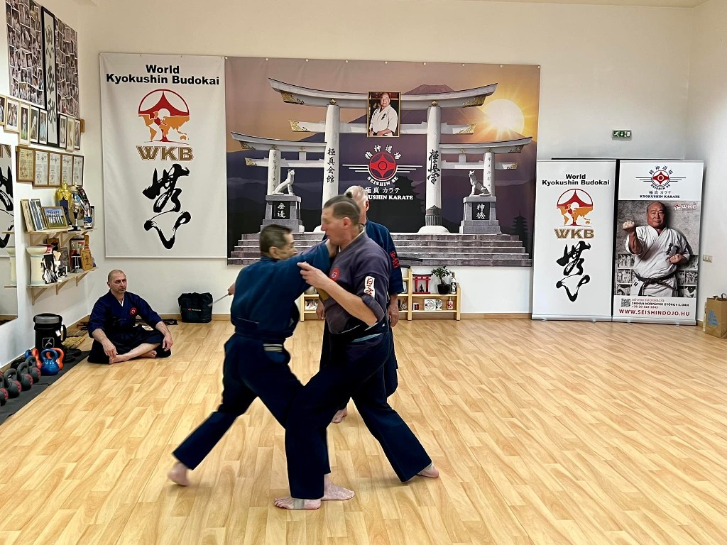 Soshi Tanaka Koshiro látogatása a Seishin Dojoban