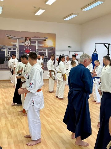 Soshi Tanaka Koshiro látogatása a Seishin Dojoban