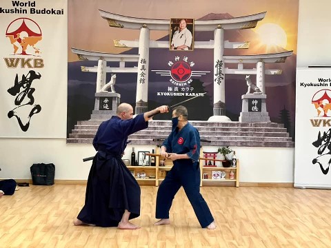 Soshi Tanaka Koshiro látogatása a Seishin Dojoban