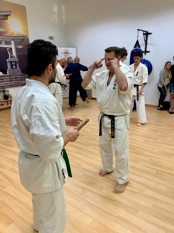 Soshi Tanaka Koshiro látogatása a Seishin Dojoban