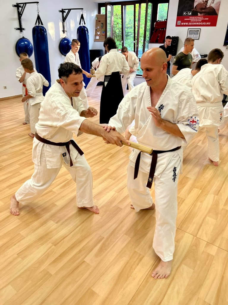 Soshi Tanaka Koshiro látogatása a Seishin Dojoban