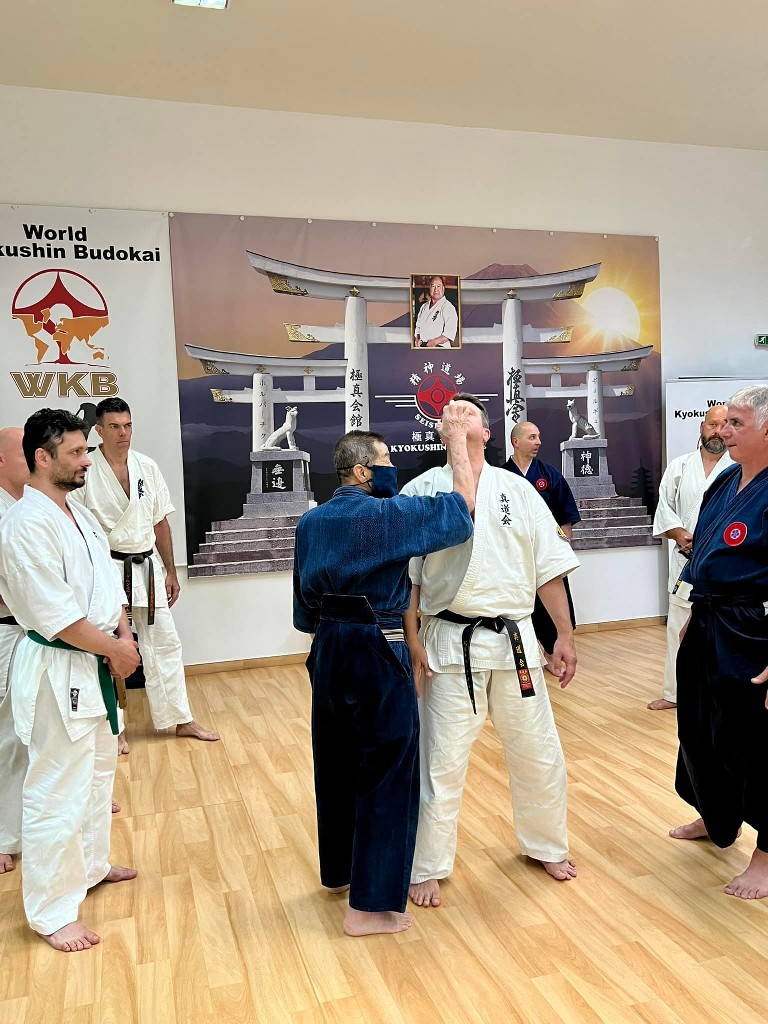 Soshi Tanaka Koshiro látogatása a Seishin Dojoban