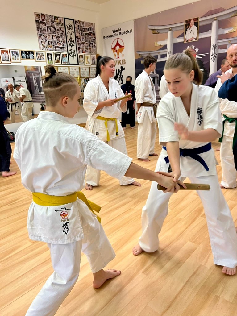 Soshi Tanaka Koshiro látogatása a Seishin Dojoban