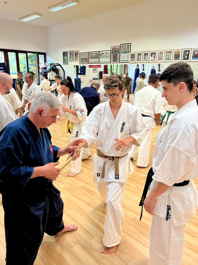 Soshi Tanaka Koshiro látogatása a Seishin Dojoban