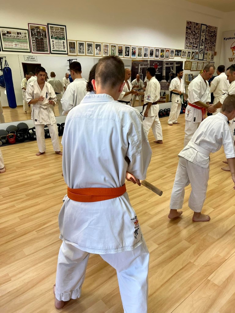 Soshi Tanaka Koshiro látogatása a Seishin Dojoban